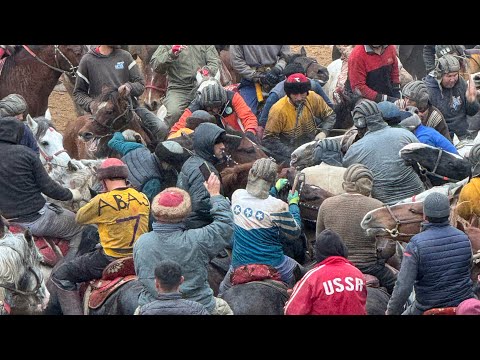 Видео: Бузкашии калон дар Янгитурмуш,Улок,Купкари Янгитурмушда