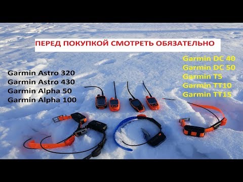 Видео: Сравнение отличия Garmin Astro 430 и 320 и Гармин Alpha 50 и 100 ОБЗОР! Какой выбрать купить