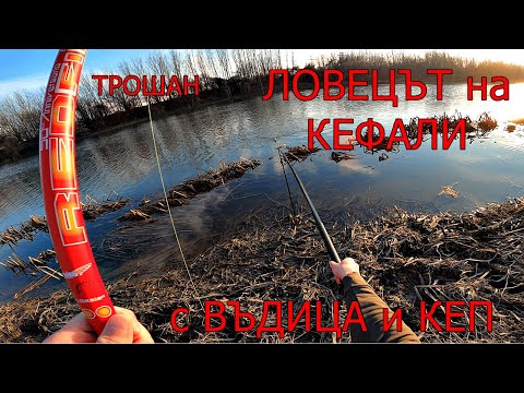 Видео: ТРОШАН ЛОВЕЦЪТ на КЕФАЛИ риболов с БОЛОНЕЗА и КЕП еп 14 .TROSHAN CHUB HUNTER
