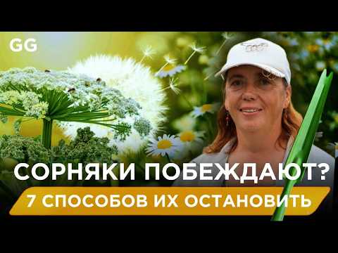 Видео: Почему сорняки ВСЕГДА побеждают и что с этим делать