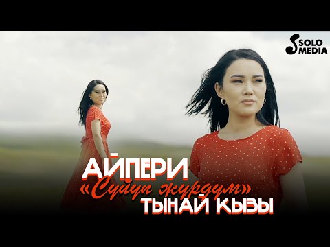 Видео: Айпери Тынай кызы - Суйуп журдум / Жаны клип 2022