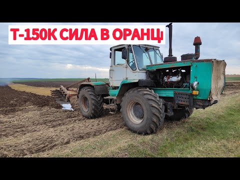 Видео: Остання ОРАНКА❌ П'ЯТЬ ДОРІГ ПО ПОЛІ😳Люди совісті не мають❗Т-150 аж піщить