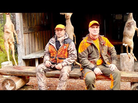 Видео: МЫ ПОШЛИ НА ОТКРЫТИЕ, И ЭТО БЫЛА ОХОТА ВСЕЙ МОЕЙ ЖИЗНИ #косуля #охота #охота