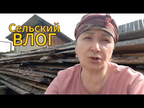 Видео: Забой уток. Собрали морковь и свеклу.