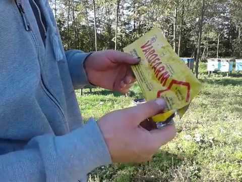 Видео: Як ефективно боротися з кліщем 8.10.18,👍