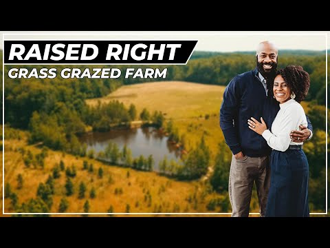 Видео: Как запустить регенеративную ферму с нуля