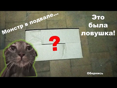 Видео: МЕНЯ ЗАКРЫЛИ В ПОДВАЛЕ (Cat in the box)