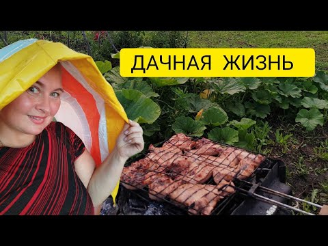 Видео: Купили дачу - ремонтируем. Дачная жизнь, шашлыки, баня. Прогулка по кедрачу и сбор шишек.