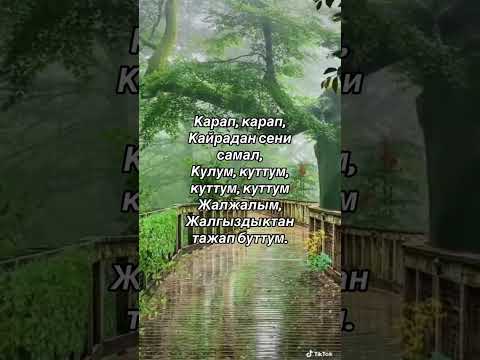 Видео: “жалгыздык” Нургиза Токтошова, Қырғыз  әңі