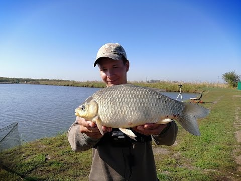 Видео: ОСЕННЯЯ РЫБАЛКА НА КАРАСЯ, РЫБАЛКА НА ФИДЕР