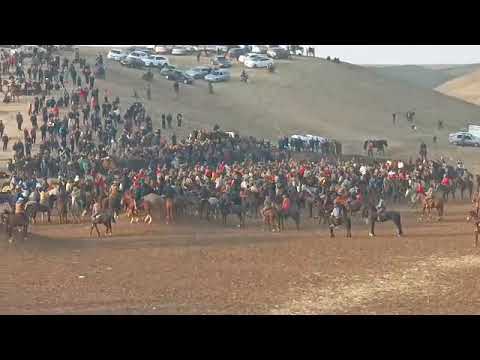 Видео: бузкаши н. панч охир 1автомашина 10000сомон 02.02.2025