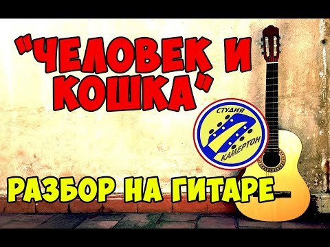 Видео: "ЧЕЛОВЕК И КОШКА" гр. Ноль. Аранжировка. Разбор на гитаре