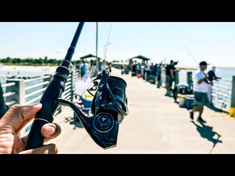 Видео: 2 дня рыбалки на пирсах и причалах залива Тампа только на джиг