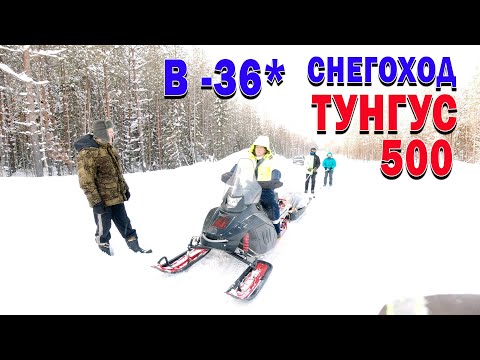 Видео: Снегоход Тунгус 500. Запуск в -36.