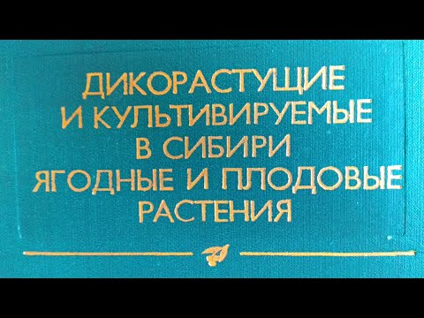 Видео: Горбунов А. Дикорастущие и культивируемые в Сибири ягодные и плодовые растения 1980 Тираж 2850 Обзор