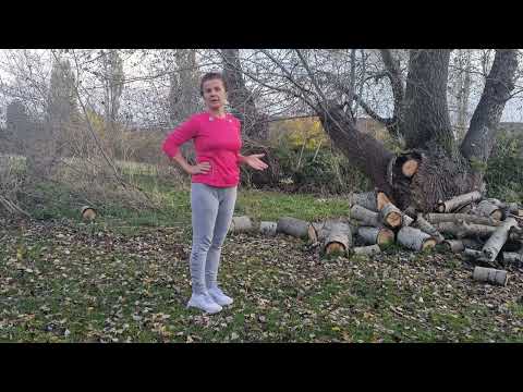 Видео: 1. Buchimish/БУЧИМИШ- урок по народни танци 