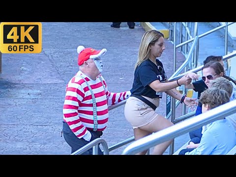 Видео: Том, забавный и талантливый мим из SeaWorld Orlando 🎅🎄😂🤣 #tomthemime #seaworldmime