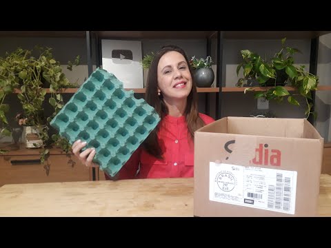 Видео: Сделай сам - из мусора в роскошь с коробкой из картона и яиц