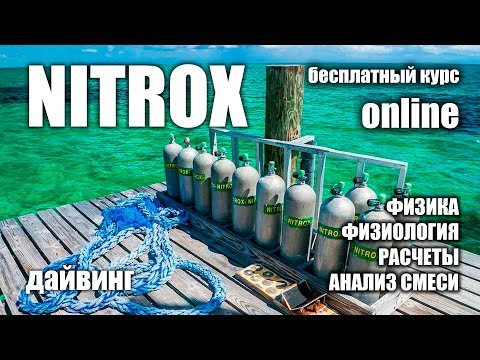 Видео: Курс Nitrox Diver - бесплатный курс для дайверов.