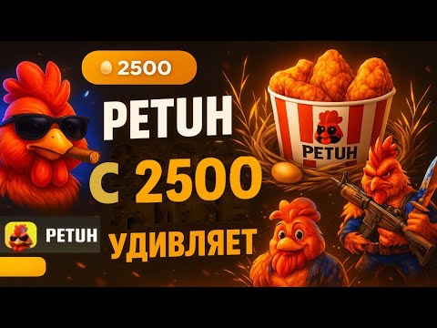 Видео: СДЕЛАЛ ДОДЕП НА НОВЫЙ САЙТ PETUH CLUB! ДОДЕП ЖЕСТКО РЕШАЕТ!! 2500 ДЕП НА ПРОВЕРКУ!