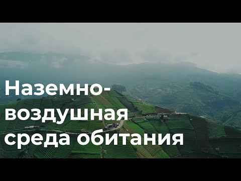 Видео: Наземно воздушная среда обитания 5 класс