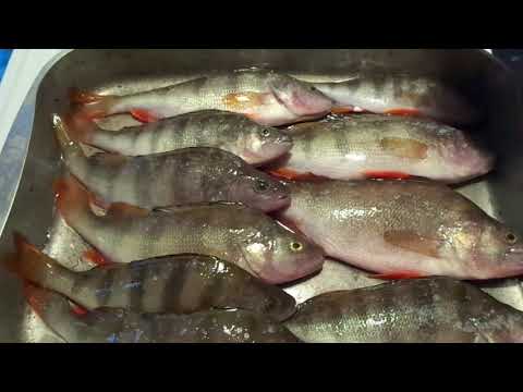 Видео: Простой и вкусный рецепт приготовления окуней.