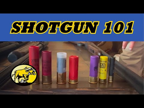 Видео: Дробовик 101