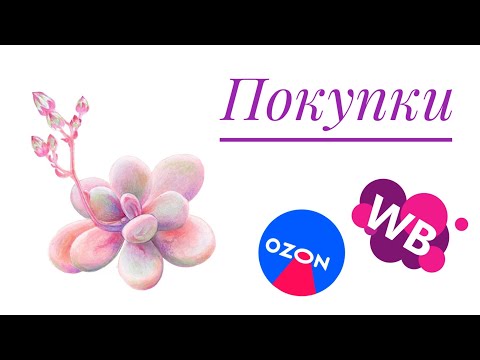 Видео: Покупки для суккулентов || Wildberries OZON ||