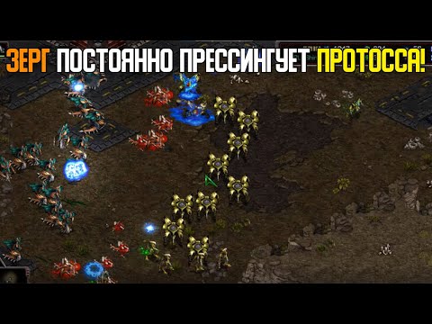Видео: Старкрафт P VS Z Зерг атакует ! Сможет ли протосс прорваться и выбраться?