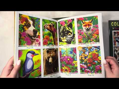 Видео: БОЛЬШОЕ ПОПОЛНЕНИЕ КОЛЛЕКЦИИ ЗА ПОСЛЕДНЕЕ ВРЕМЯ ❤️❤️❤️❤️❤️