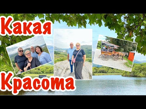 Видео: Продолжаем Наше Путешествие по Ирландии / Дегустация Виски / Прогулка на Лошадиной Повозке / @Amond 