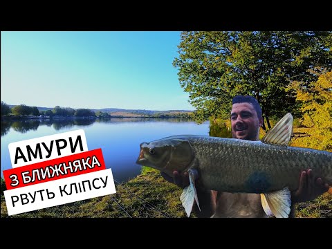 Видео: РИБАЛКА 24 ГОДИНИ! ЯК ЗЛОВИТИ 50КГ АМУРІВ! ЇДУТЬ ВСІ ВУДОЧКИ