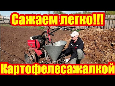 Видео: Посадка картофеля мотоблоком Ока. 2021 год!!!