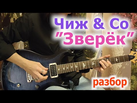 Видео: Чиж & Co_Зверёк_разбор