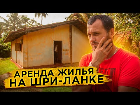 Видео: АРЕНДА ЖИЛЬЯ НА ШРИ-ЛАНКЕ