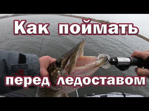 Видео: Ловля Щуки Перед Ледоставом. Где и как ловить ! Места, Приманки и Погода. Рыбалка на щуку осенью