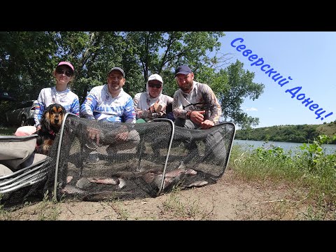 Видео: Рыбалка и отдых на реке Северский Донец!