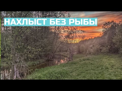 Видео: НАХЛЫСТ x КАК ЛОВИТЬ И НИЧЕГО ПОЙМАТЬ #87