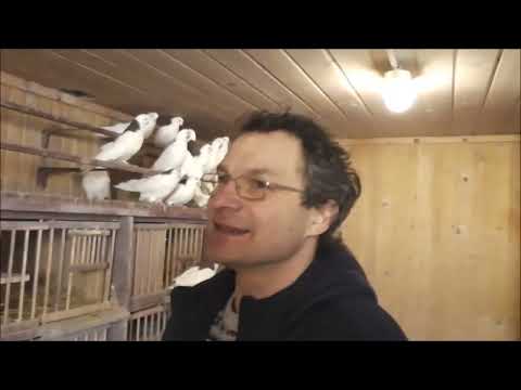 Видео: Чертаново (19 февраля 2022 г.)