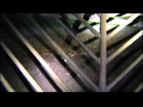 Видео: Бункера и Казематы Карельского Укрепрайона. Часть 1.