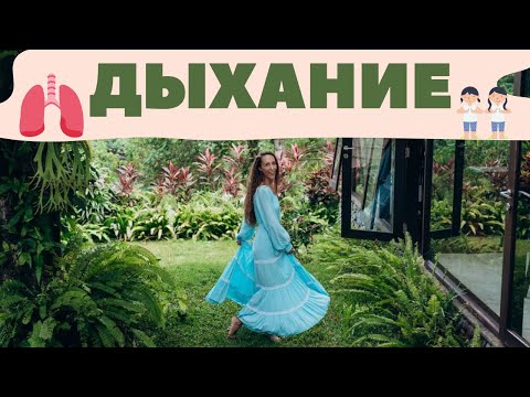 Видео: Дыхание