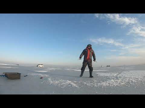 Видео: Рыбалка на комбайны - Татарка - Владивосток