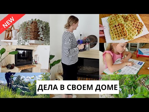 Видео: 🥳УРА КАНИКУЛЫ| планы на лето, прогулка по саду, вафли из кабачков