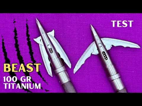 Видео: BEAST TITANIUM 100 gr BROADHEAD TEST #охотаизлука #элитнаястрельба