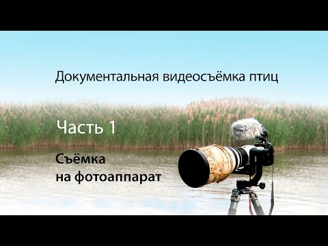 Видео: Документальная видеосъемка птиц. Часть 1. Съемка на DSLR