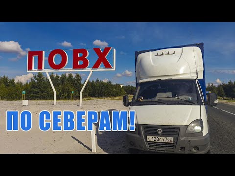 Видео: Август: Когалым/Сургут/Челябинск/Бузулук/Тольятти