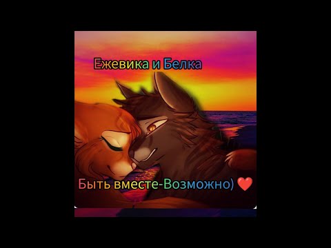 Видео: Ежевика и Белка Клип — Невозможное Возможно Заказ