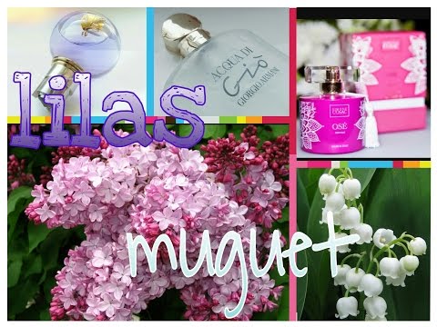 Видео: АРОМАТЫ с нотами СИРЕНИ и ЛАНДЫША I Shiseido | Armani | Malle | Dior etc