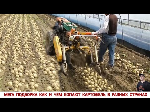 Видео: МЕГА ПОДБОРКА КАК И ЧЕМ КОПАЮТ КАРТОФЕЛЬ В РАЗНЫХ СТРАНАХ/HARVESTING POTATOES IN DIFFERENT COUNTRIES