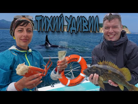 Видео: Камчатка с просторов Тихого океана. Стая касаток перед островом Старичков и улётная рыбалка!